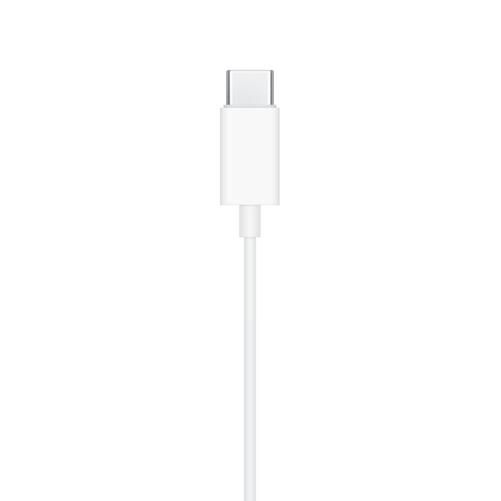 SAFEPAY Earphones (USB-C)