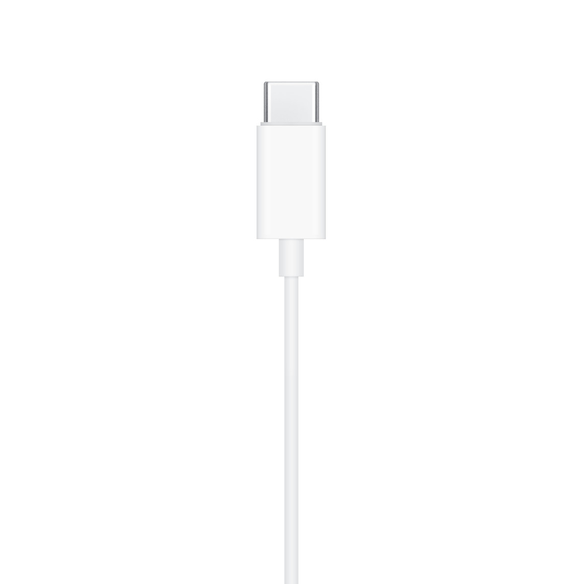 SAFEPAY Earphones (USB-C)